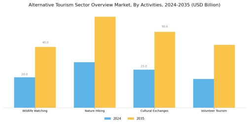 Alternative Tourism Sector Overview Market Segment Image 2