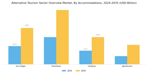 Alternative Tourism Sector Overview Market Segment Image 3