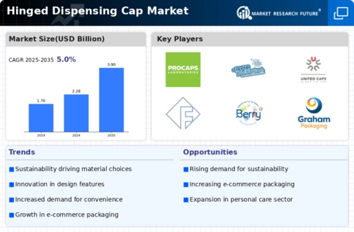 Hinged Dispensing Cap Market
 Infographic