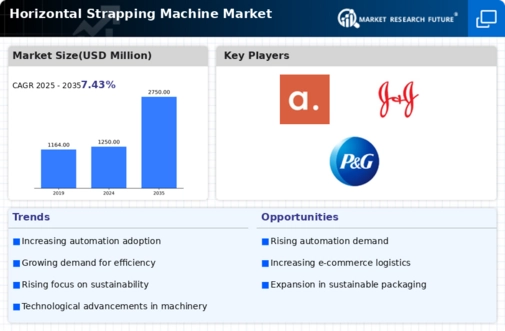 Horizontal Strapping Machine Market
 Infographic