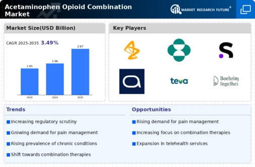 Acetaminophen Opioid Combination Market
 Infographic