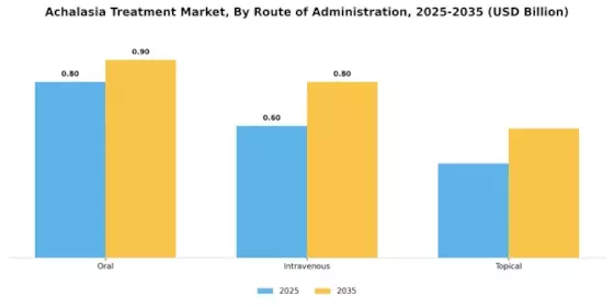 Achalasia Treatment Market  Segment Image 2