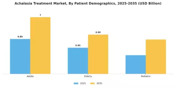 Achalasia Treatment Market  Segment Image 3