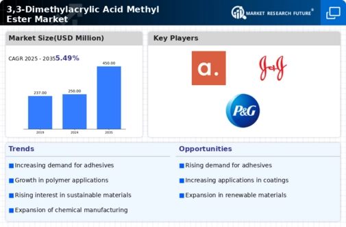 3 3 Dimethylacrylic Acid Methyl Ester Market Infographic