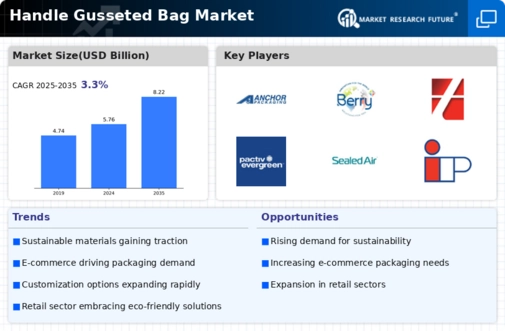 Handle Gusseted Bag Market Infographic