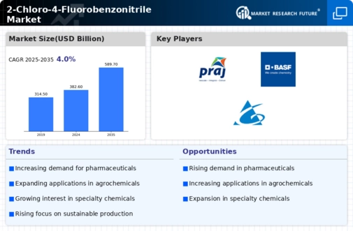 2-Chloro-4-Fluorobenzonitrile Market Infographic