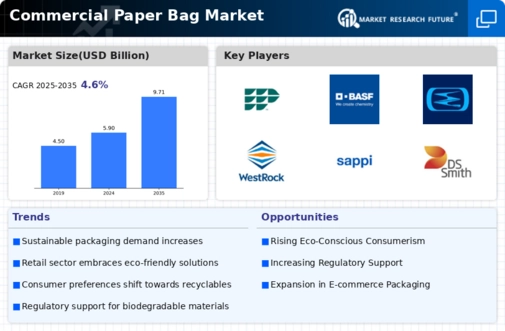 Commercial Paper Bag Market Infographic