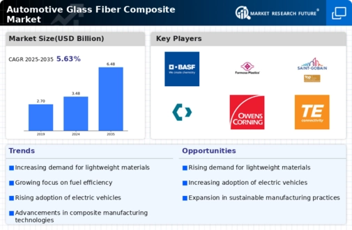 Automotive Glass Fiber Composite Market
 Infographic