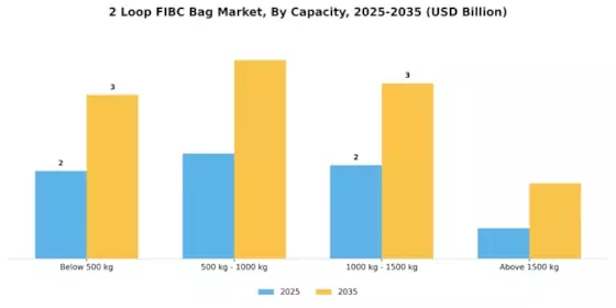 2 Loop FIBC Bag Market Segment Image 3