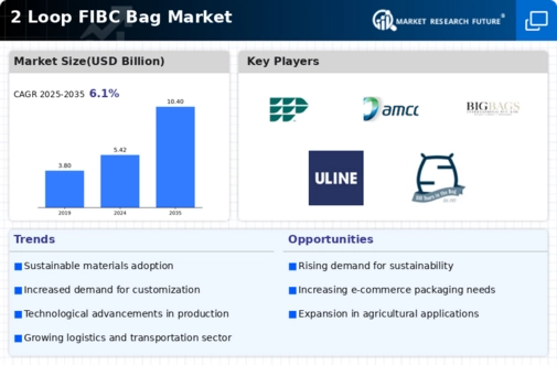 2 Loop FIBC Bag Market Infographic