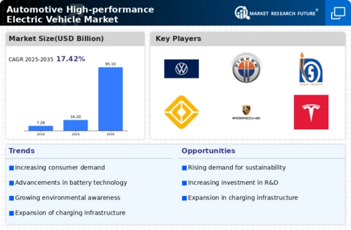 Automotive High Performance Electric Vehicle Market Infographic