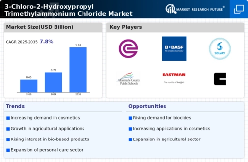 3 Chloro 2 Hydroxypropyl Trimethylammonium Chloride Market Infographic