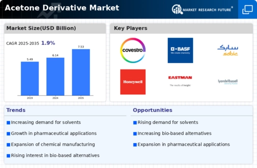 Acetone Derivative Market Infographic