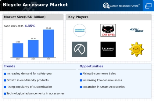 Bicycle Accessory Market
 Infographic