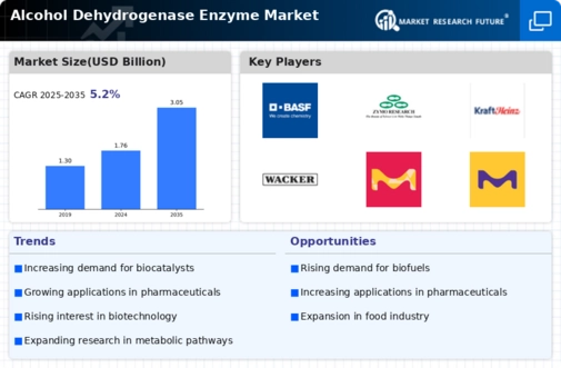 Alcohol Dehydrogenase Enzyme Market Infographic