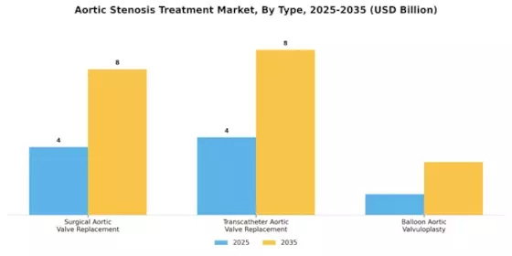 Aortic Stenosis Treatment Market Segment Image 0