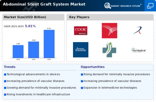 Abdominal Stent Graft System Market Infographic