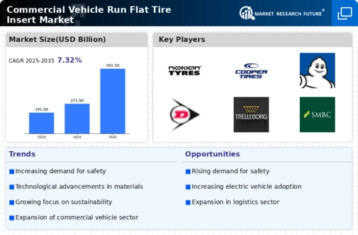 Commercial Vehicle Run Flat Tire Insert Market Infographic