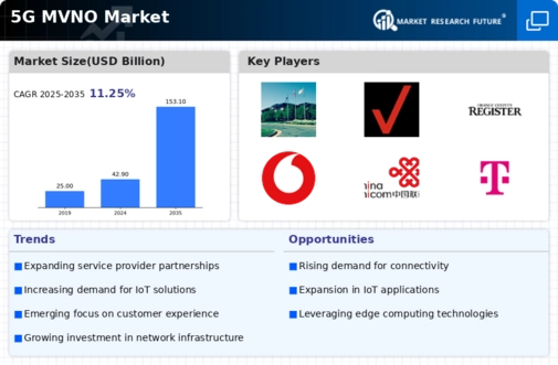 5G MVNO Market Infographic
