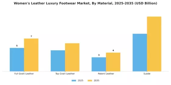 Women Leather Luxury Footwear Market Segment Image 1