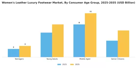 Women Leather Luxury Footwear Market Segment Image 3