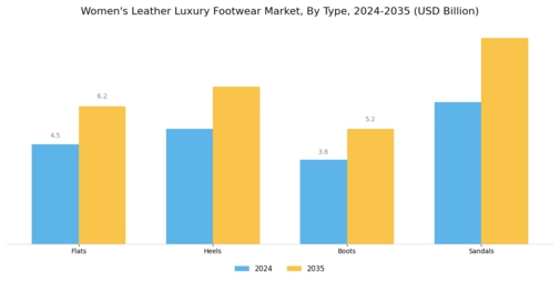 Women Leather Luxury Footwear Market Segment Image 0
