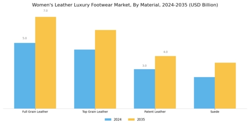 Women Leather Luxury Footwear Market Segment Image 1