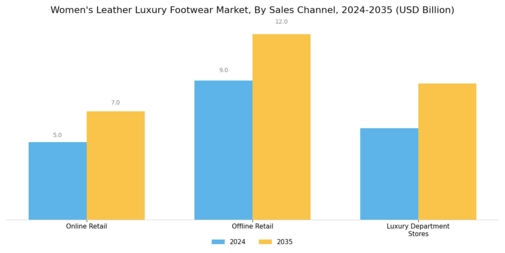 Women Leather Luxury Footwear Market Segment Image 2