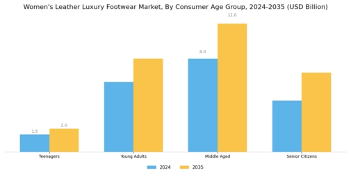 Women Leather Luxury Footwear Market Segment Image 3