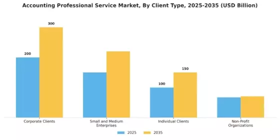 Accounting Professional Service Market Segment Image 1