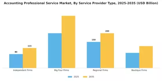 Accounting Professional Service Market Segment Image 3