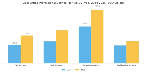 Accounting Professional Service Market Segment Image 0