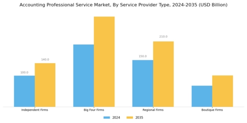 Accounting Professional Service Market Segment Image 3