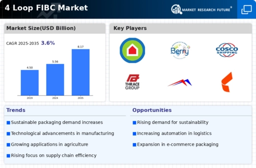 4 Loop FIBC Market Infographic