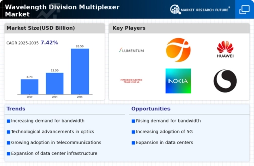 Wavelength Division Multiplexer Market Infographic