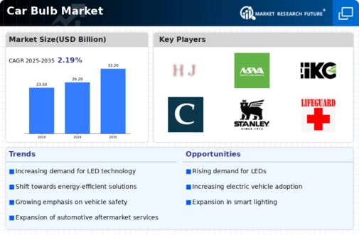 Car Bulb Market Infographic