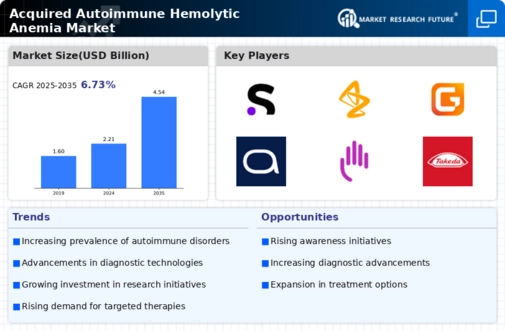 Acquired Autoimmune Hemolytic Anemia Market  Infographic