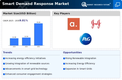 Smart Demand Response Market
 Infographic