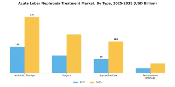 Acute Lobar Nephronia Treatment Market
 Segment Image 0