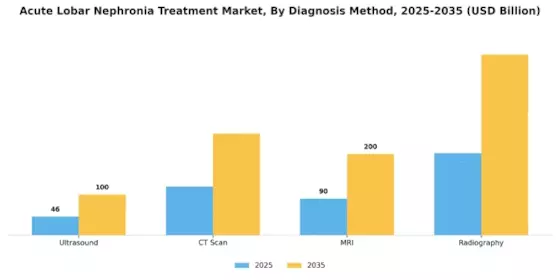 Acute Lobar Nephronia Treatment Market
 Segment Image 1