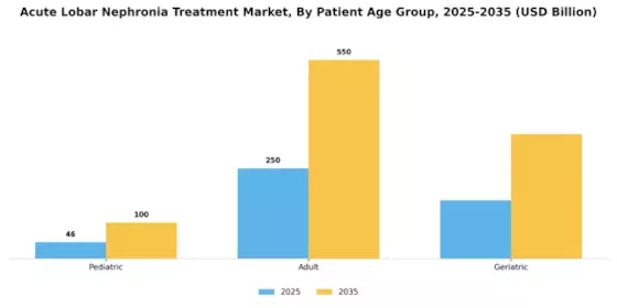 Acute Lobar Nephronia Treatment Market
 Segment Image 2