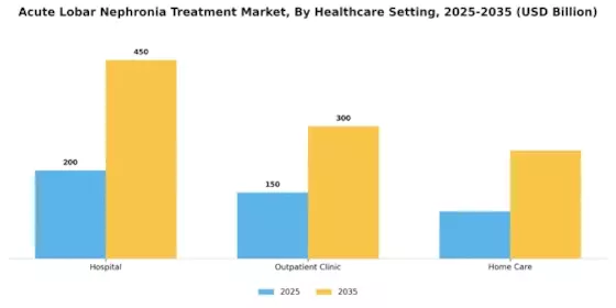Acute Lobar Nephronia Treatment Market
 Segment Image 3
