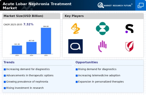 Acute Lobar Nephronia Treatment Market
 Infographic