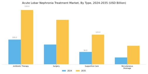 Acute Lobar Nephronia Treatment Market
 Segment Image 0