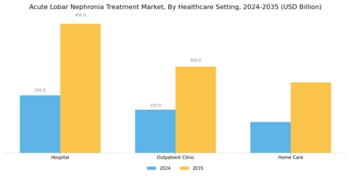 Acute Lobar Nephronia Treatment Market
 Segment Image 3