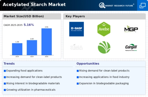 Acetylated Starch Market Infographic