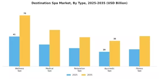 Destination Spa Market  Segment Image 0