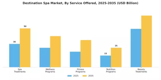 Destination Spa Market  Segment Image 1