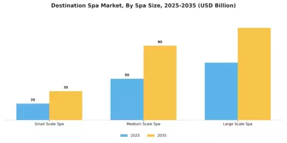 Destination Spa Market  Segment Image 3