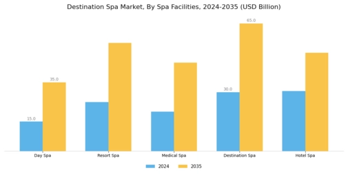 Destination Spa Market  Segment Image 2